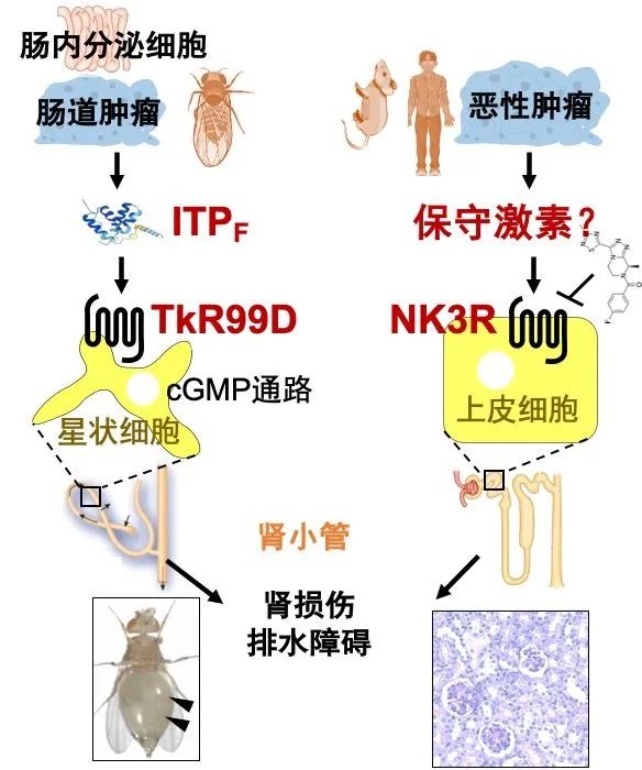 武3.jpg 武3.jpg